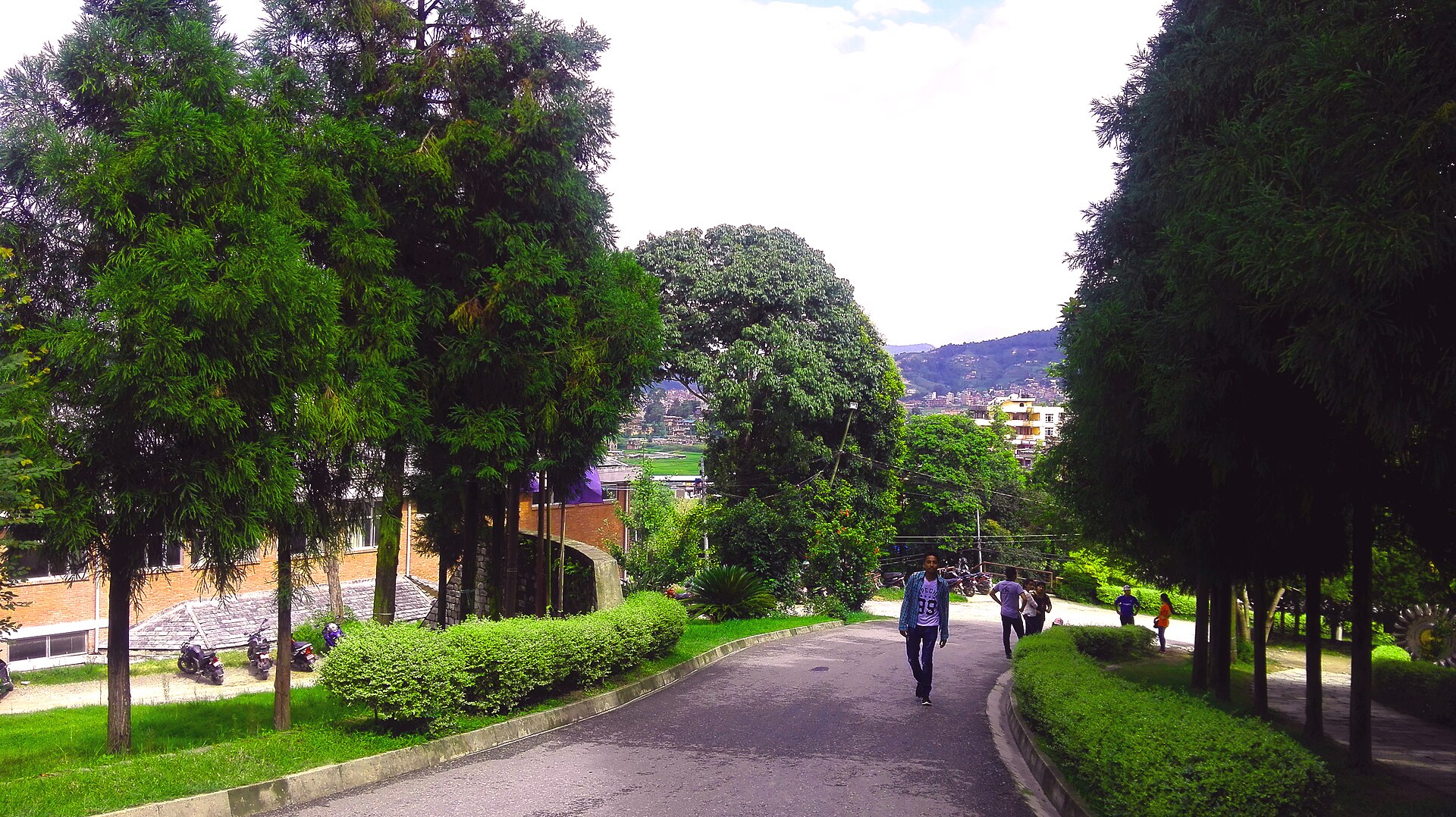 A tree-lined path on a Nepali campus