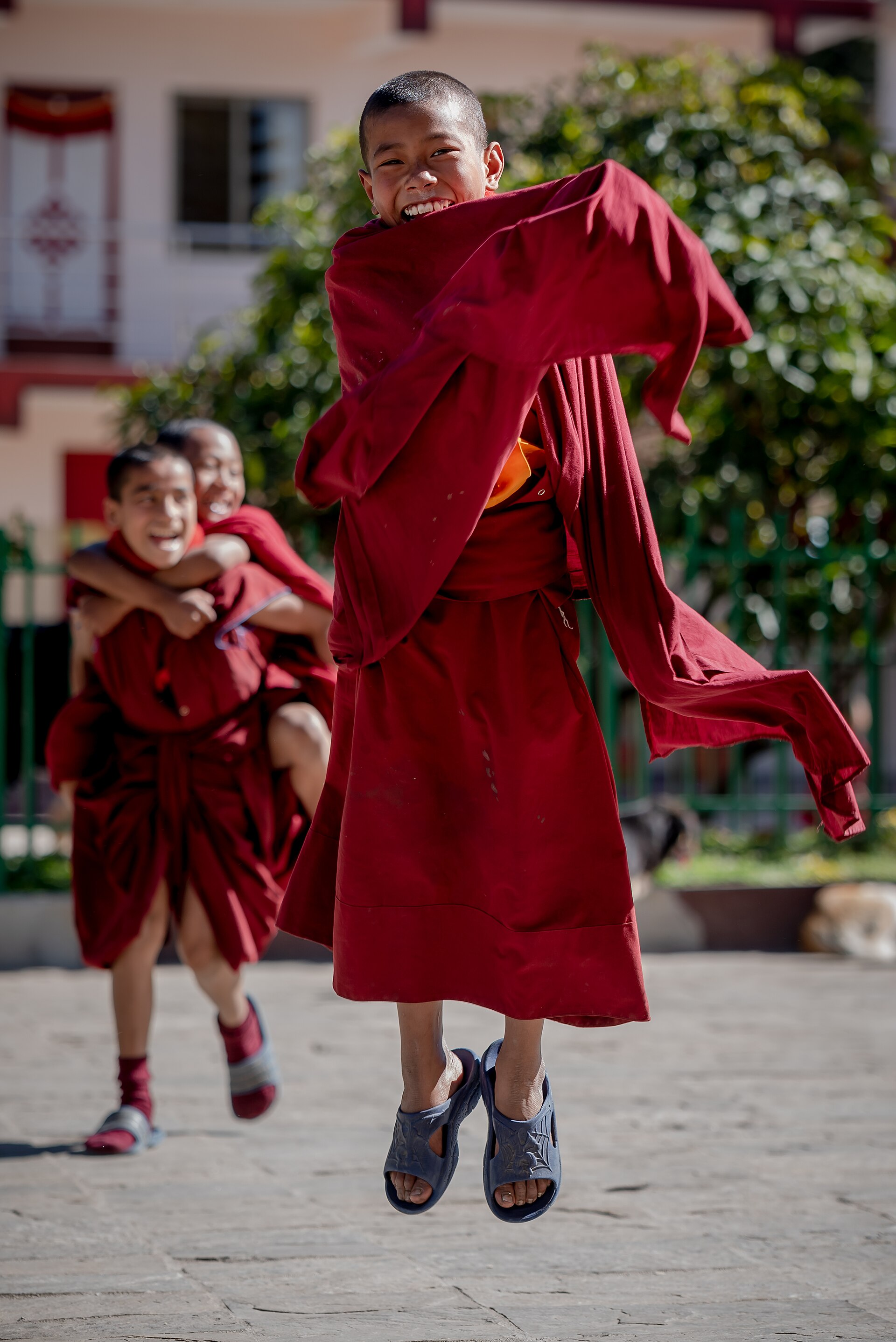 A young novice monk at a monastery