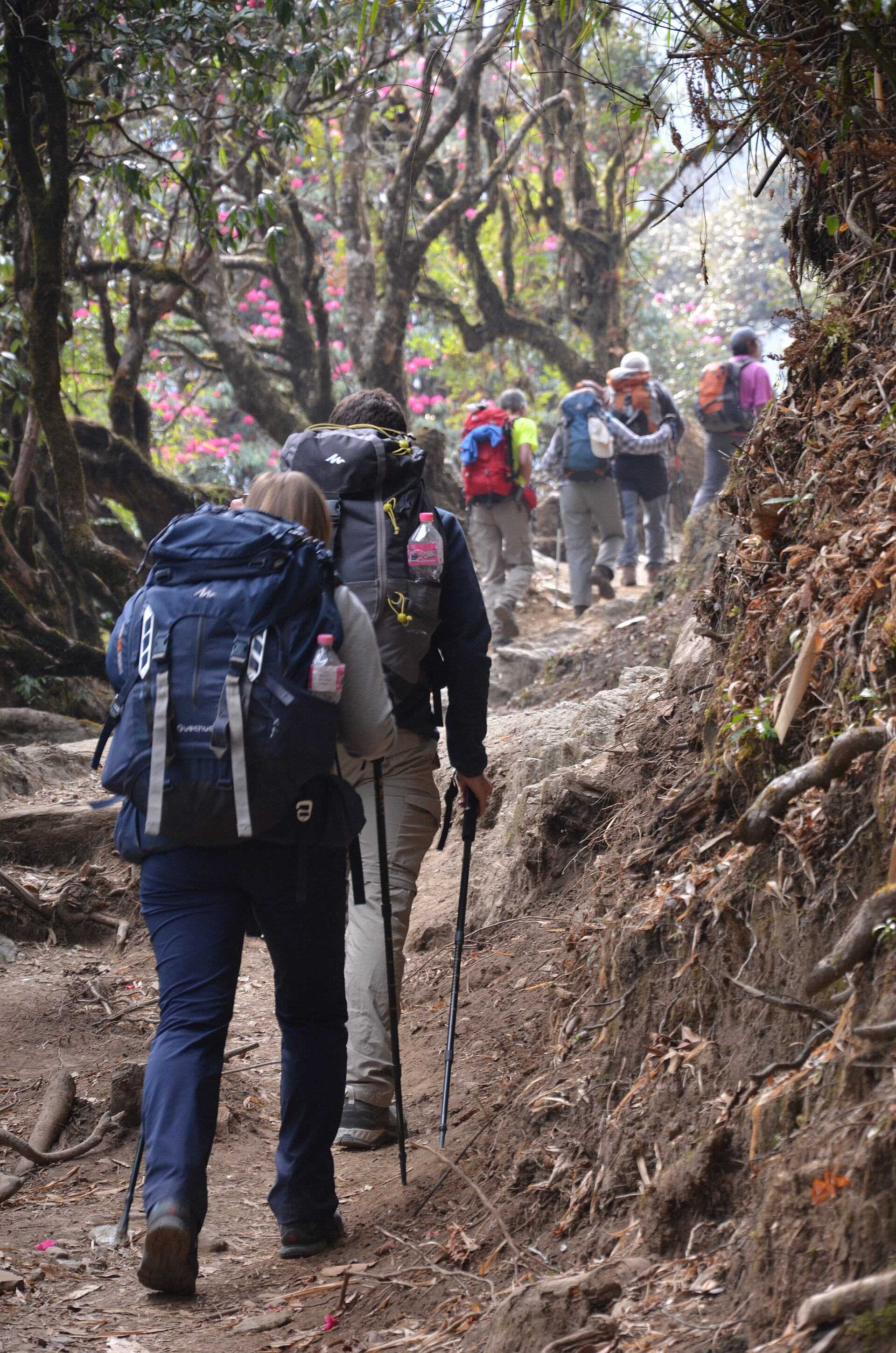 Trekkers with backpacks climbing a mountain trail